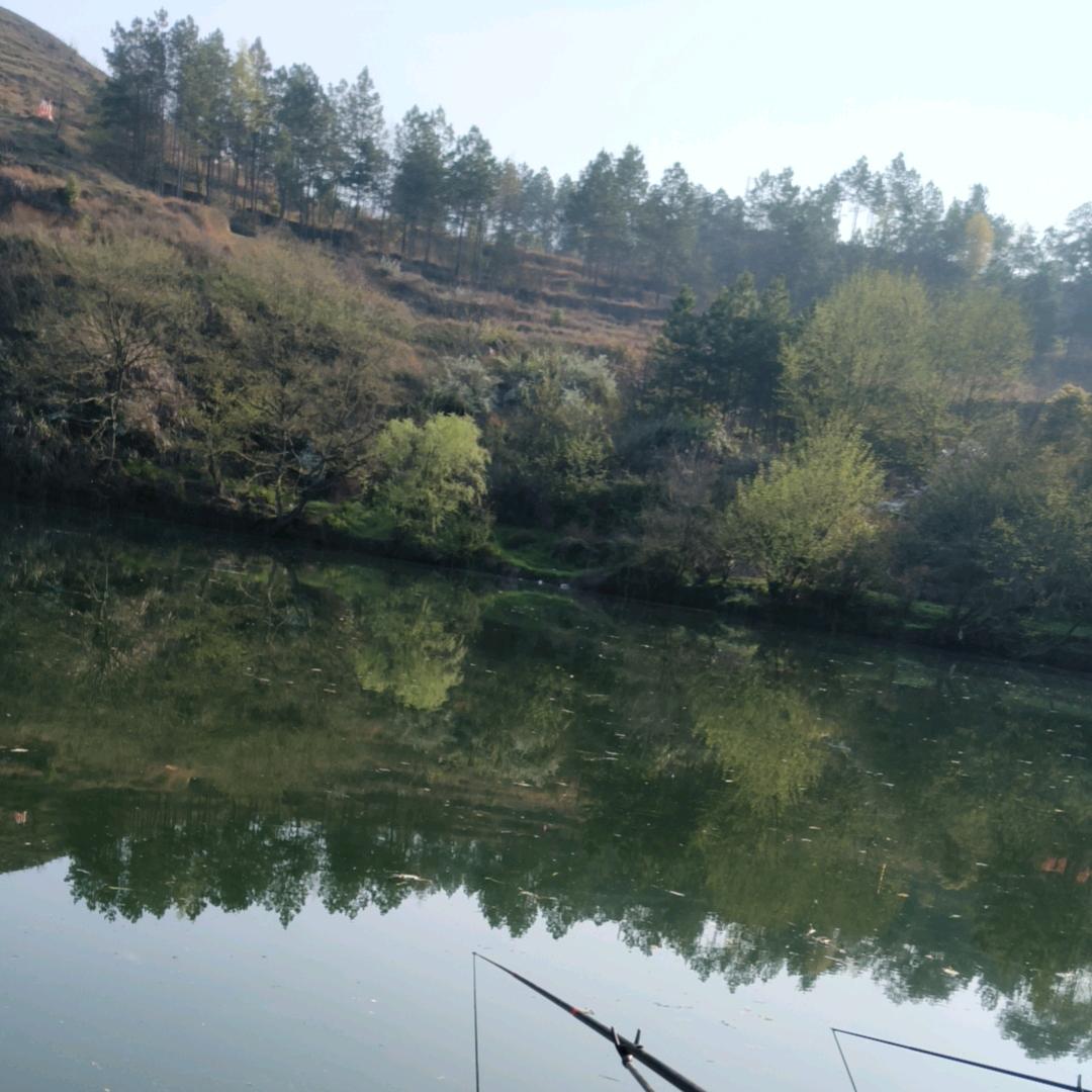 青山绿水