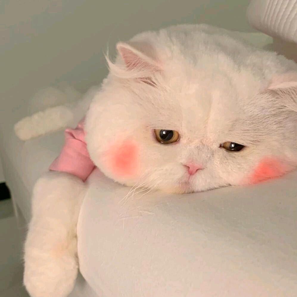 还没有想好