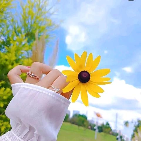 去哪儿旅行679087776