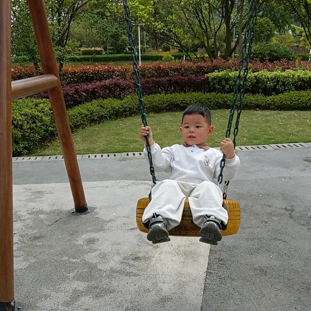 琴