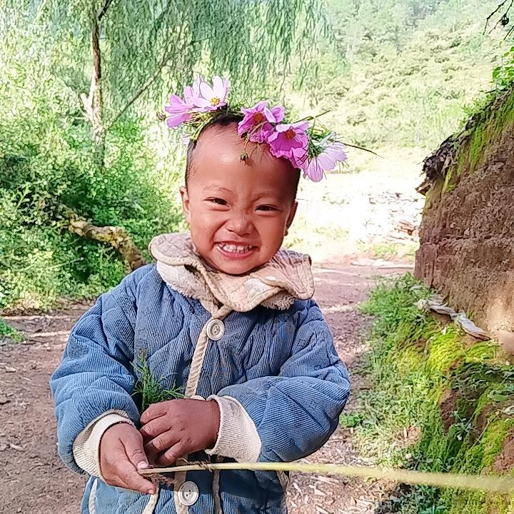 小木木
