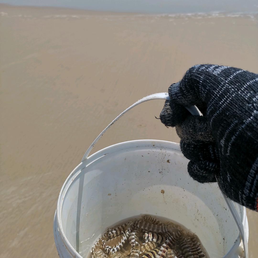 栋仔户外🎣