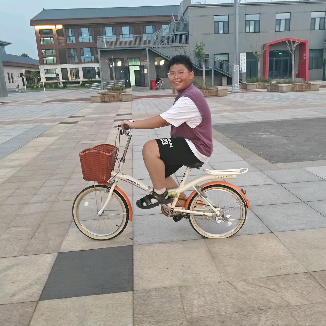 🎈🌺🥂🌹🌟👑美丽的格桑花