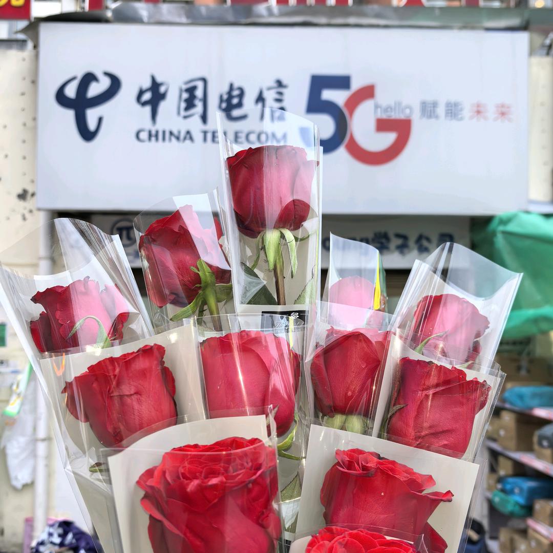 贵师院电信（单身版）