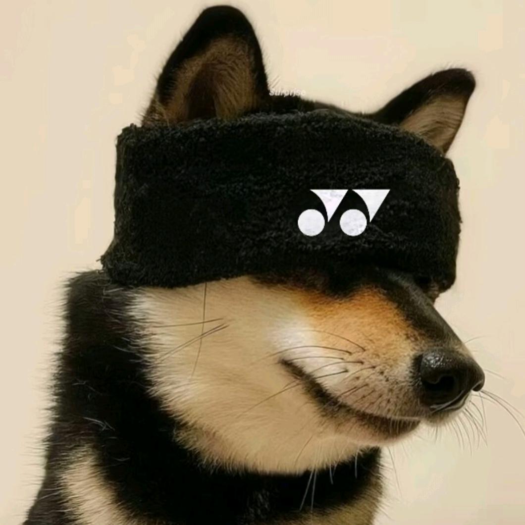 阿基米德螺旋飞腿式托马斯回旋大风车🏸.