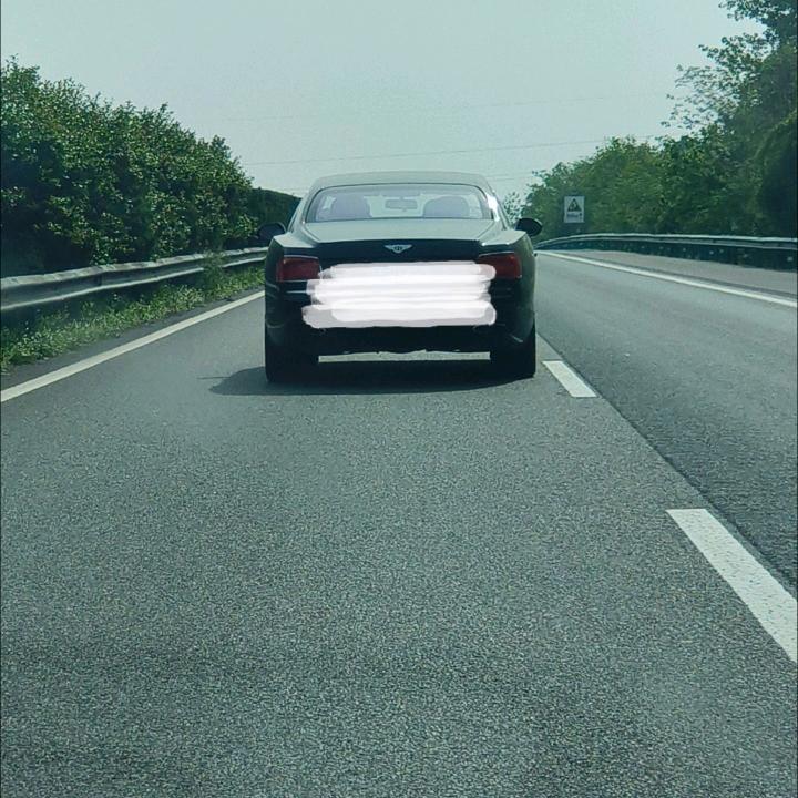 蓝道明