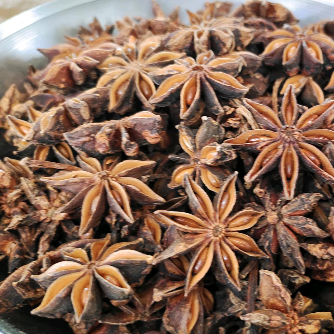 木兰花花