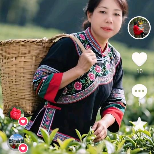 枼新兰