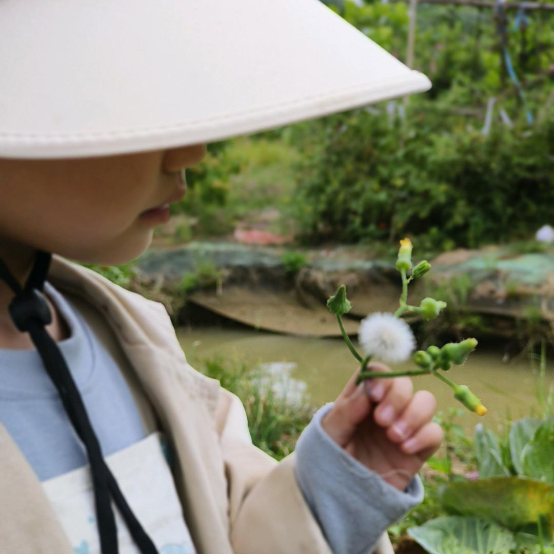 🫘🌱豆芽