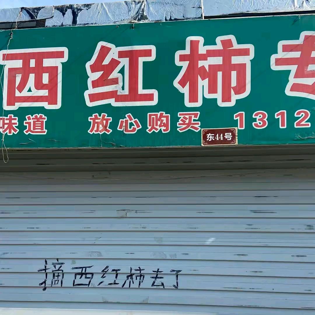 AAA西红柿批发强哥