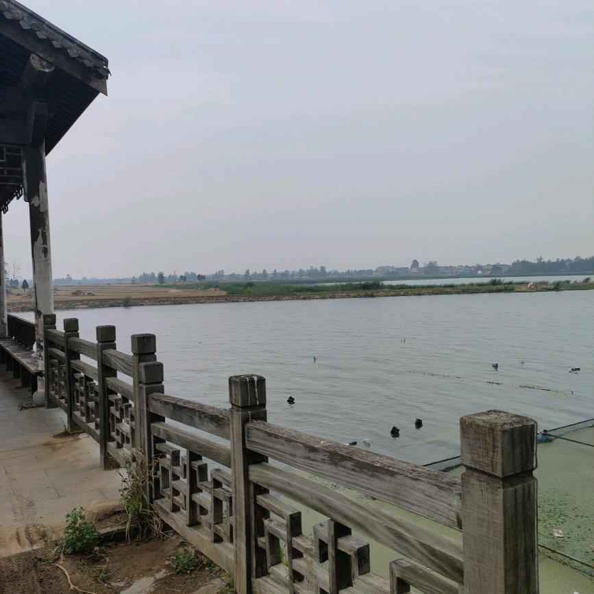 爱未来
