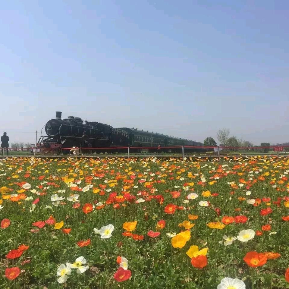 七月我杀了我自己