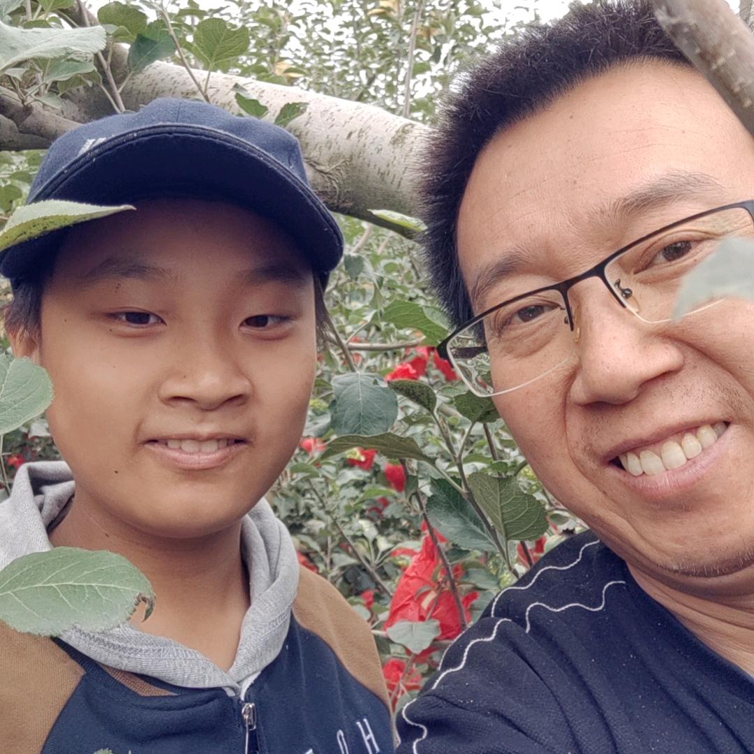 叶子的美丽杰作