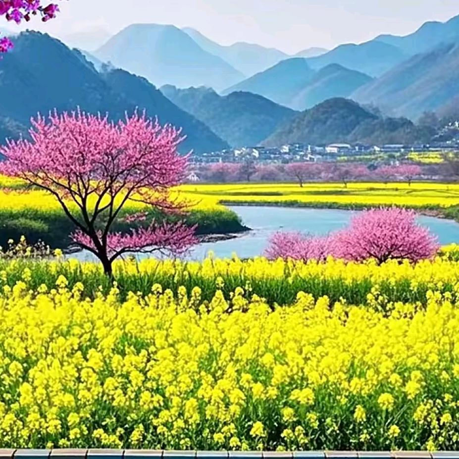 慢慢人生路的快乐