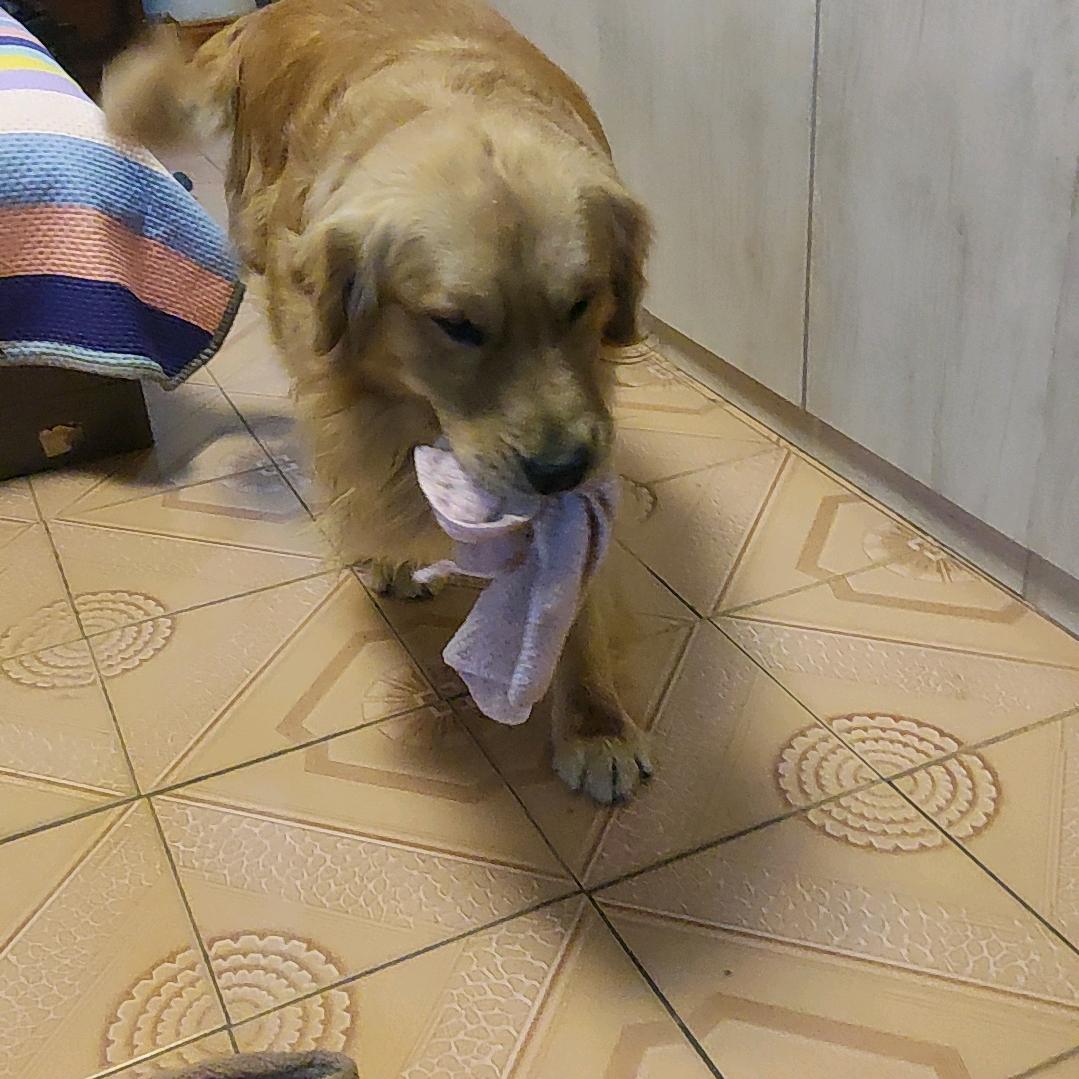 吉兴日用五金百货