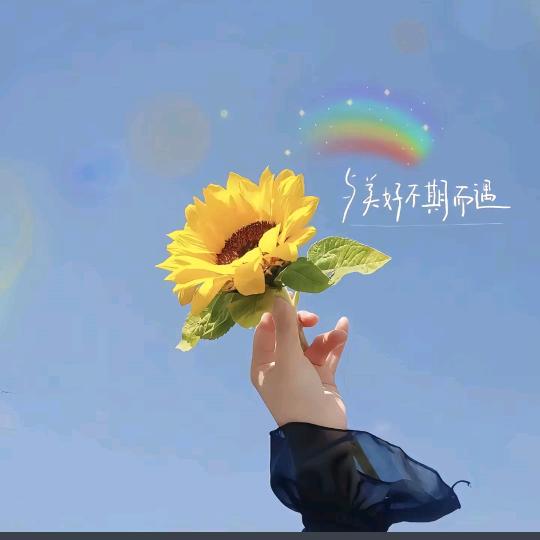 小七七