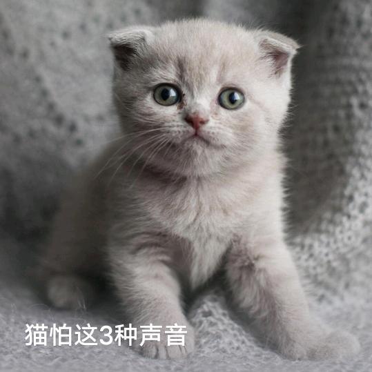 开着埃安游全国