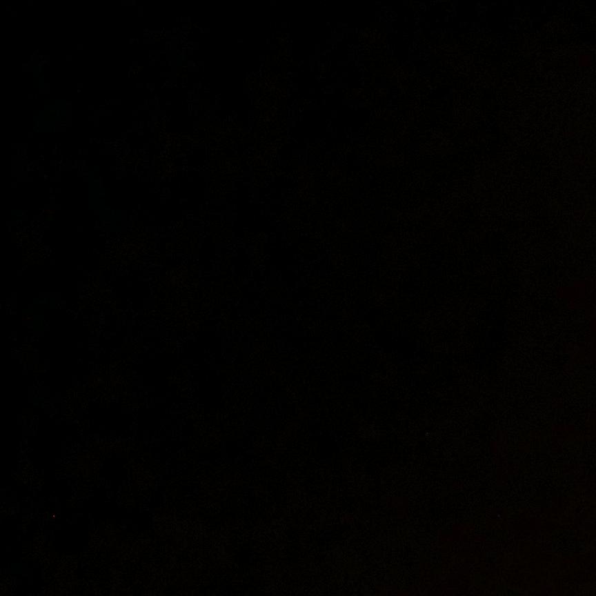 蝉