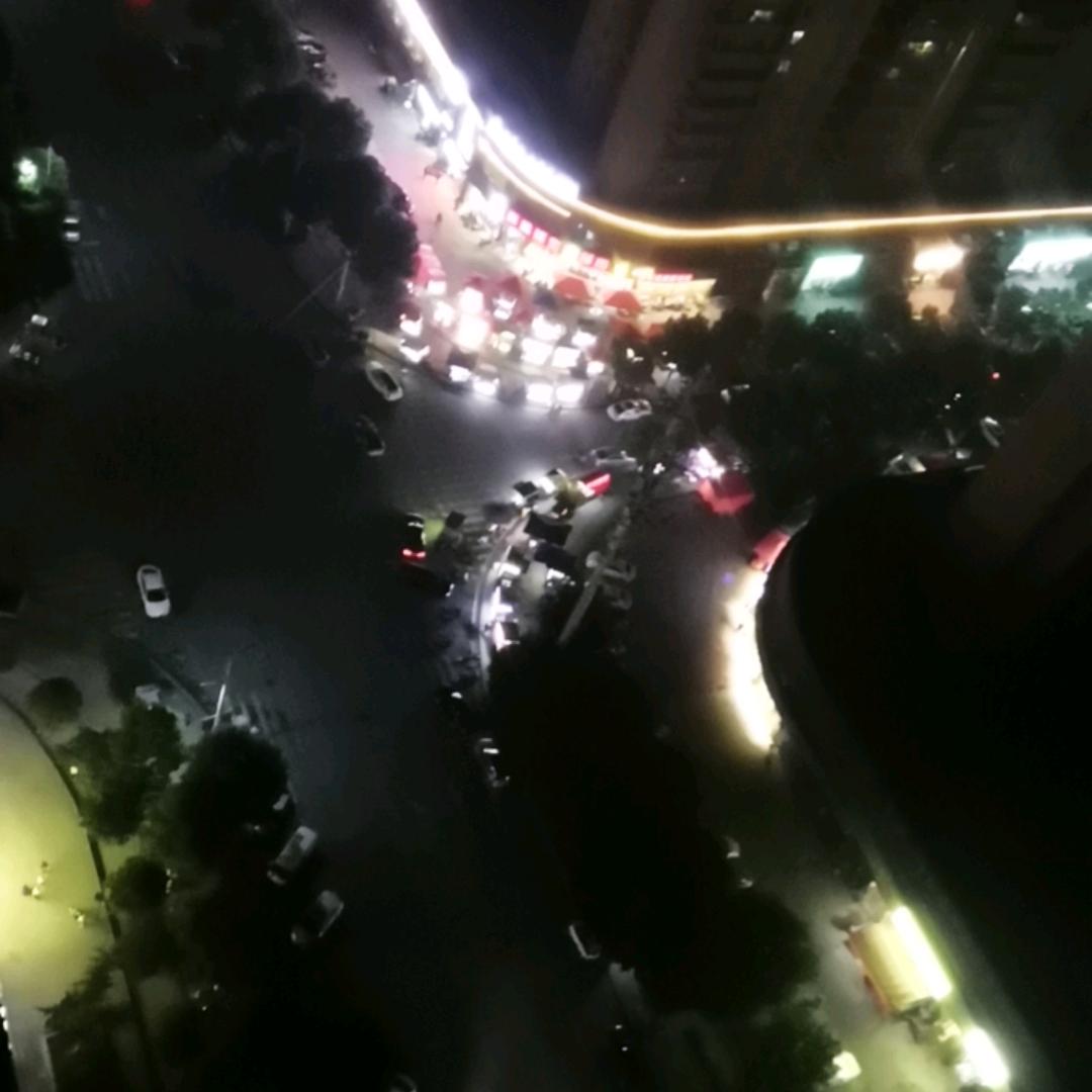 毅力哈利