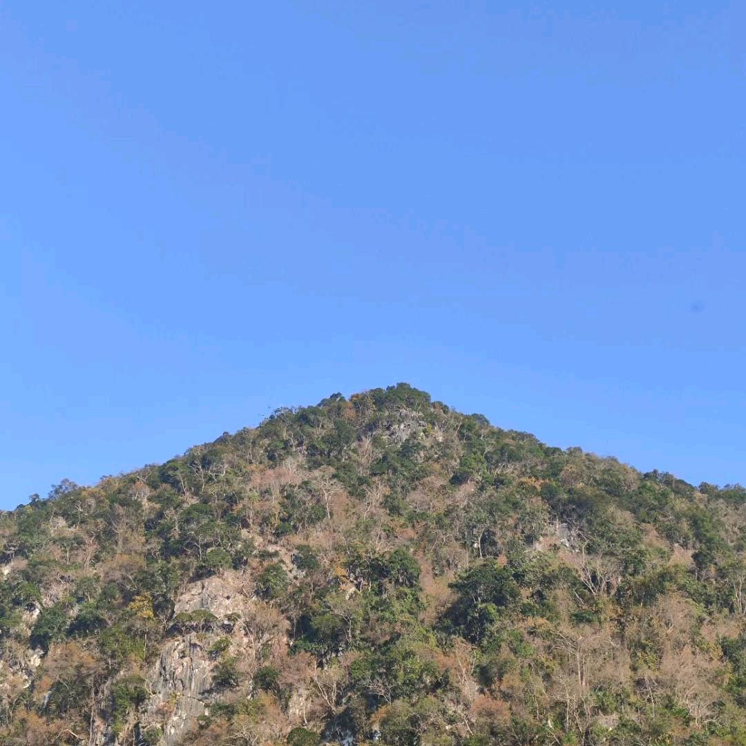 尘凡儿
