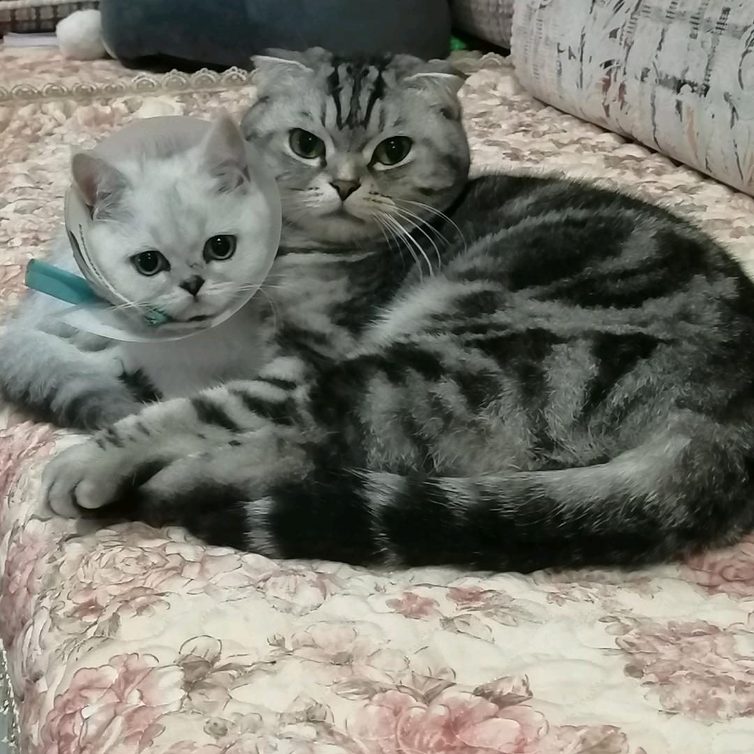 开心分享