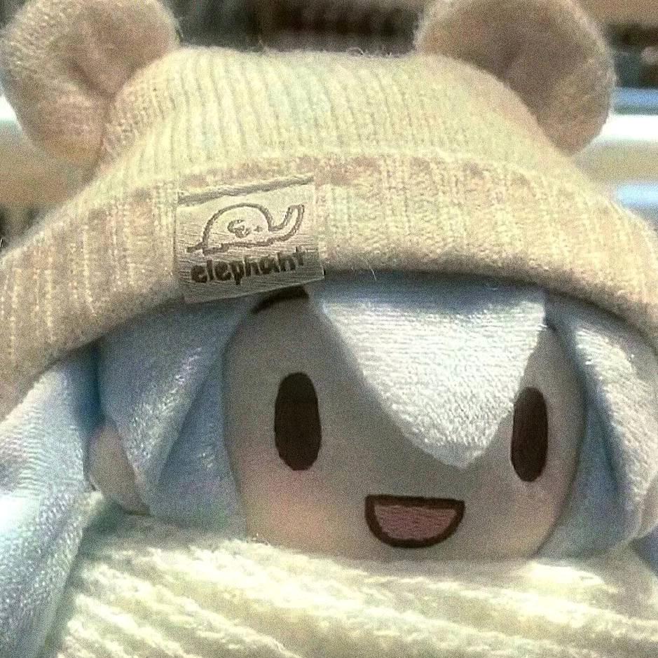 凯妮子