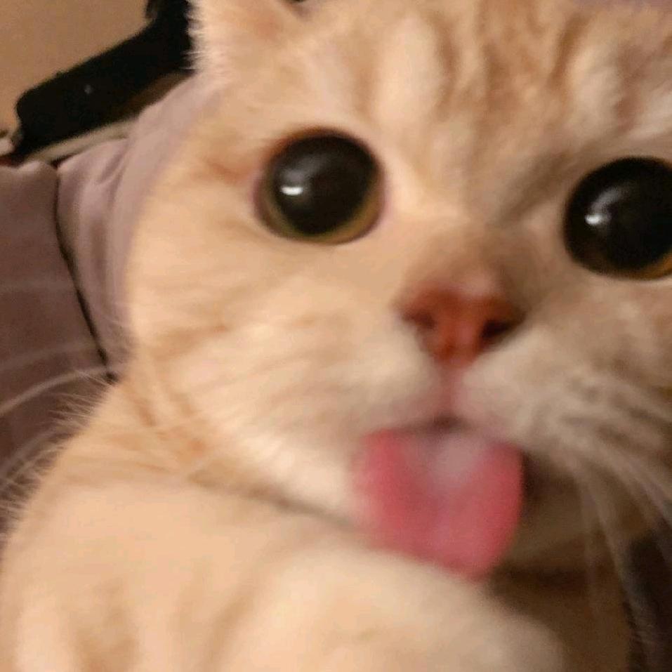 小苏花舍
