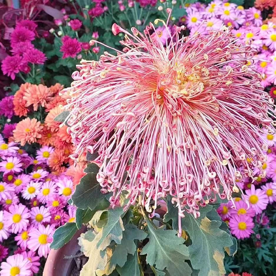 我在四川遂宁小哥哥