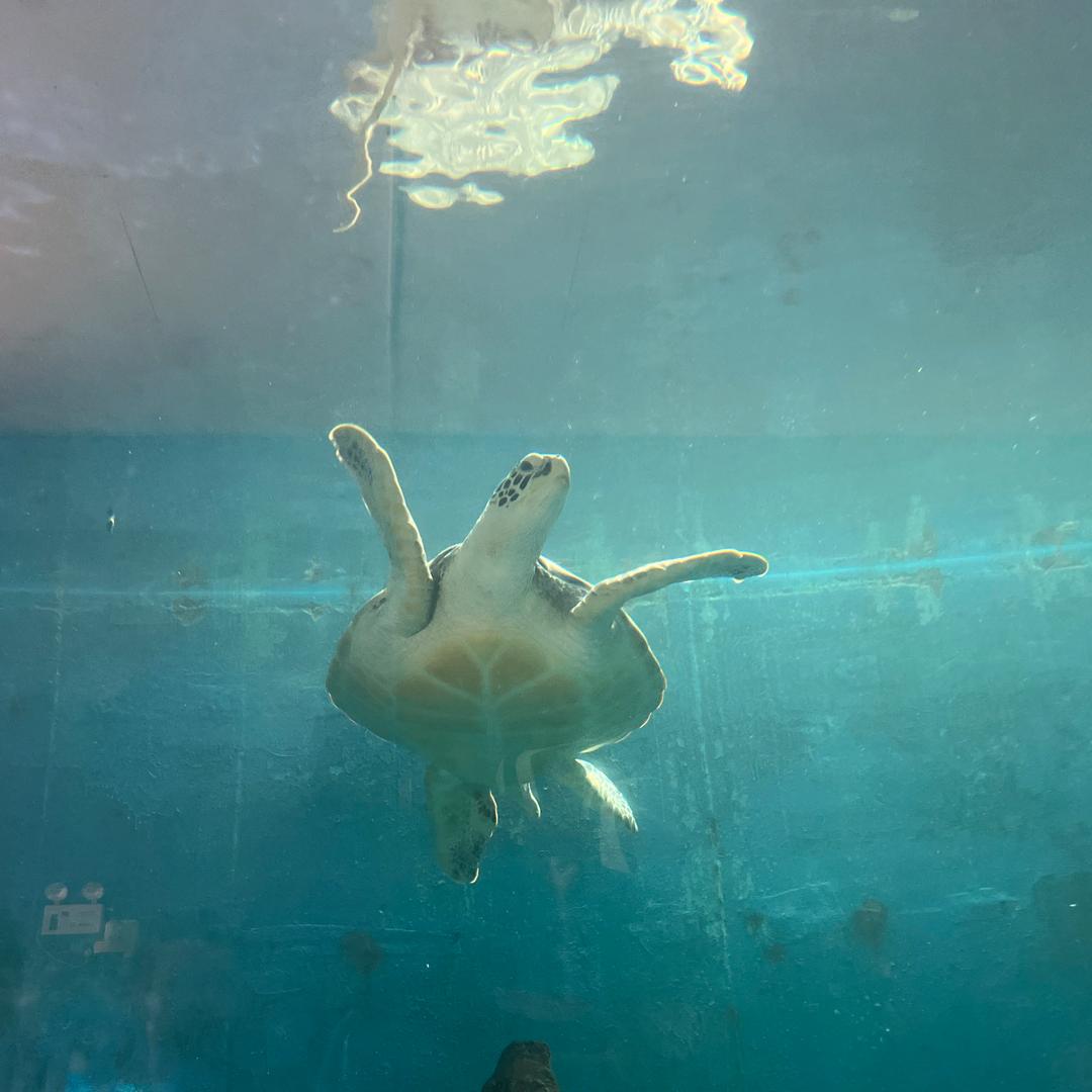 不想和翻菜的同桌吃饭