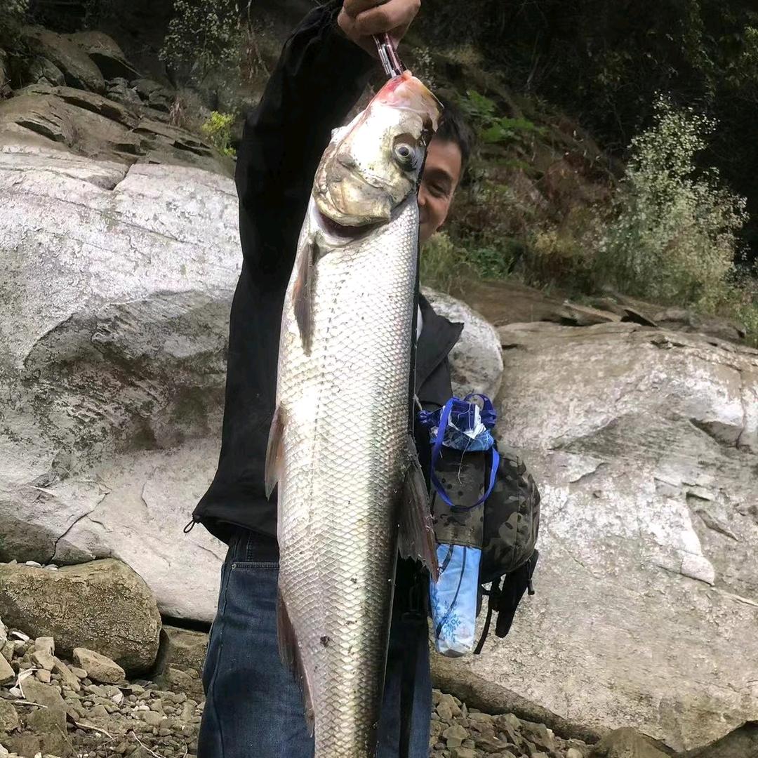 鳜鳜爱T尾🎣🎣