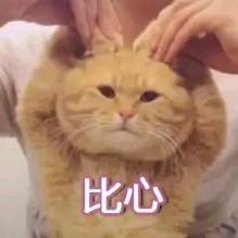 紫藤