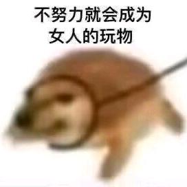 讨厌坏女人
