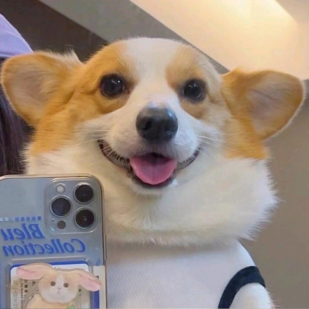 诺别离