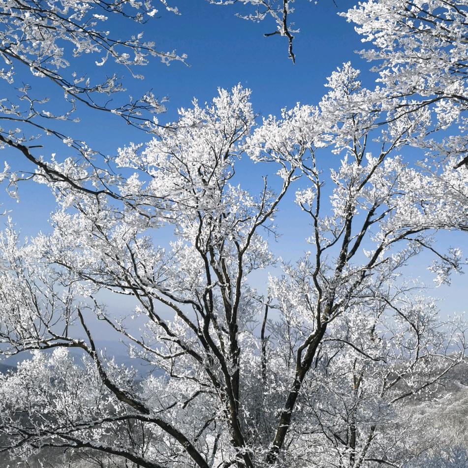 不安分的行在奔跑头像