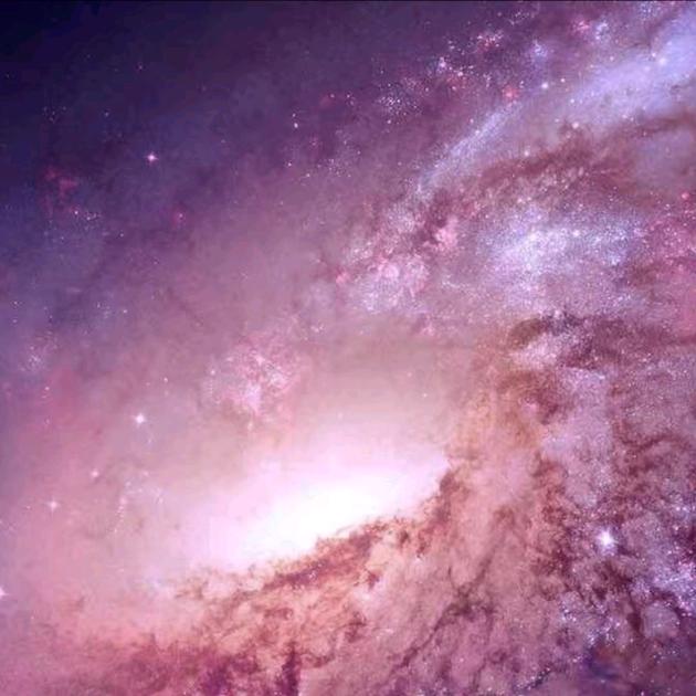 ✨*顺*✨*李*✨*成*✨*张*✨