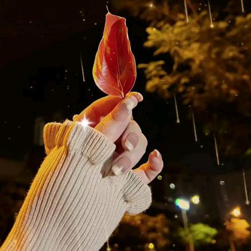 💞清熙💞