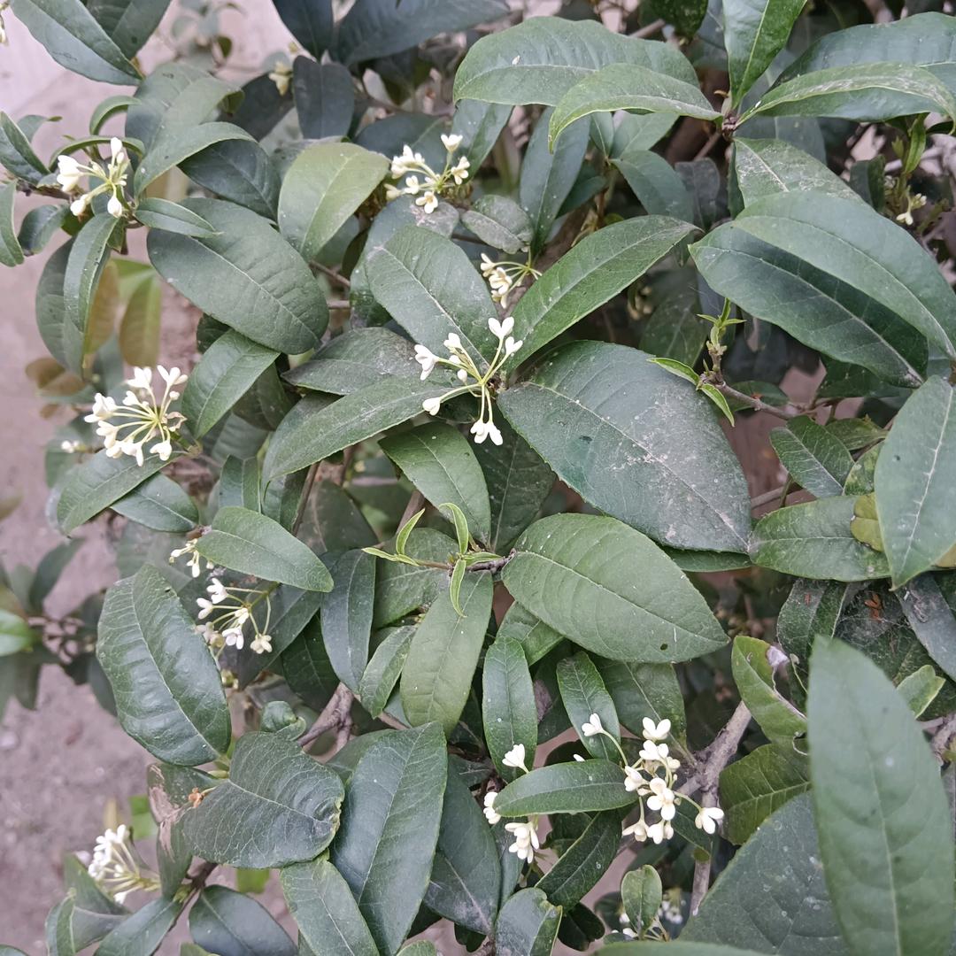 相见是缘分