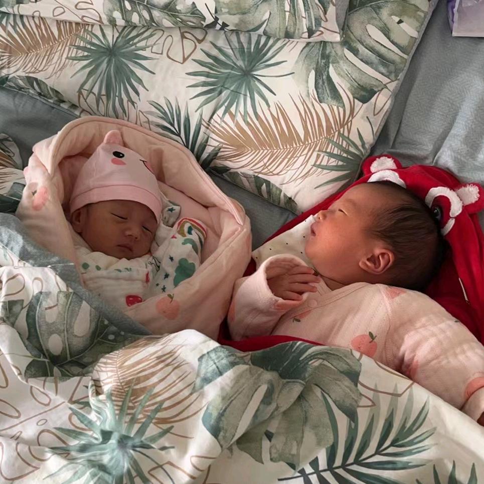 心心念念的铲屎官