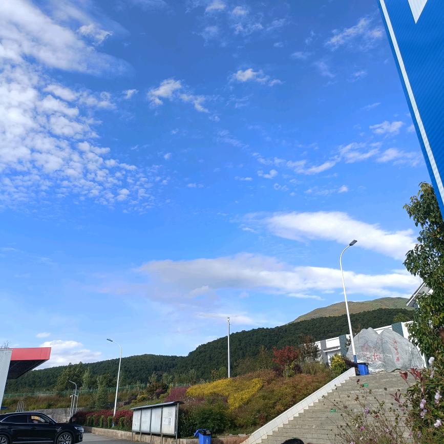 雷哥的快乐生活