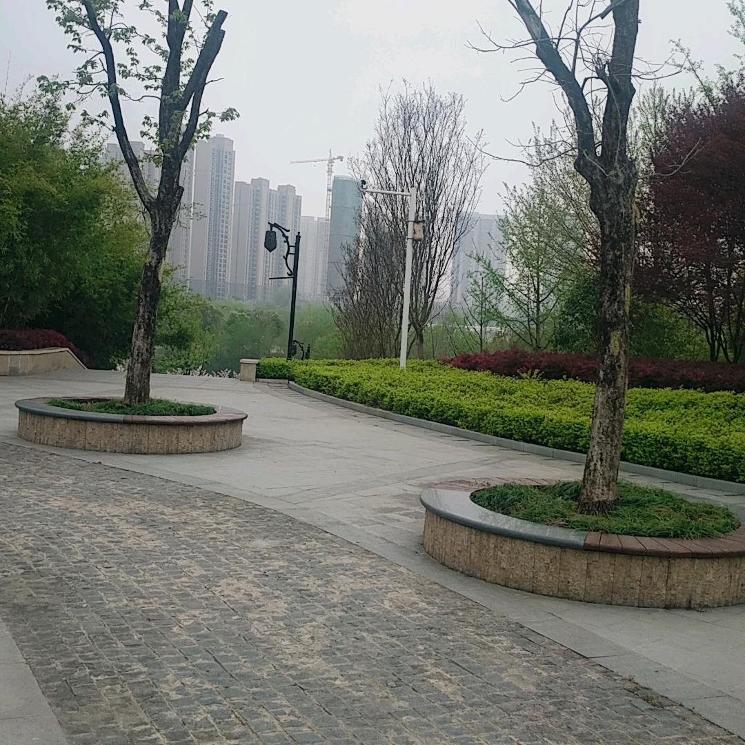 兰州拉面