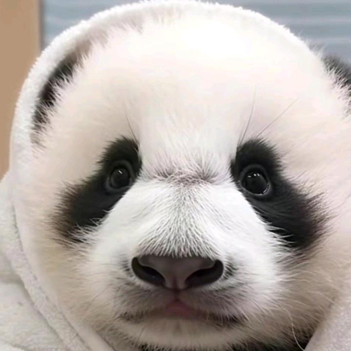 鱼鱼鱼🐠🐠🐠🐠