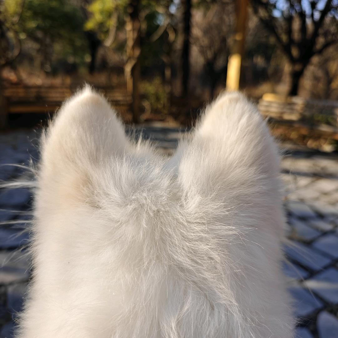 小憩