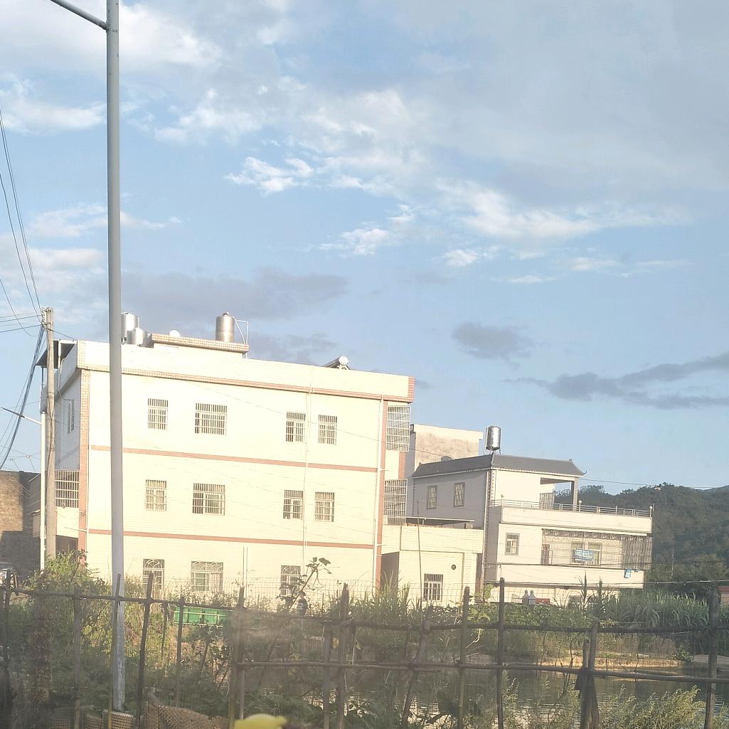 梦里出现的