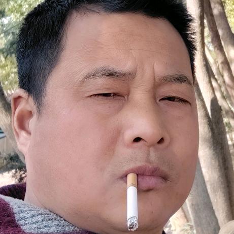 宋，张，好运💑79羊