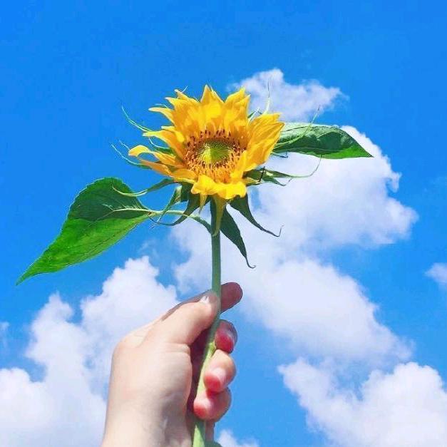 清风月影🌙