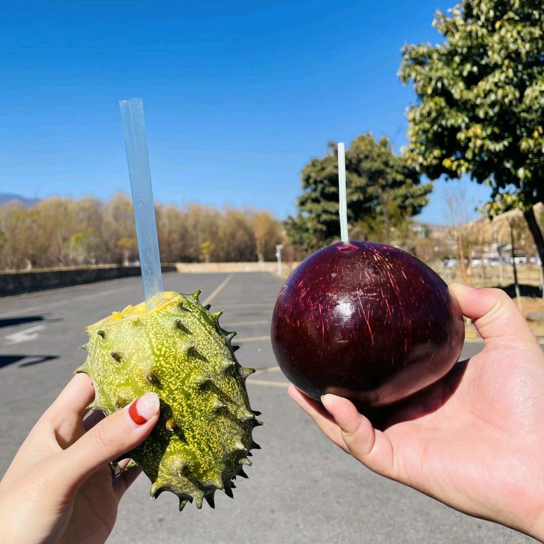 低氮燃烧机&锅炉