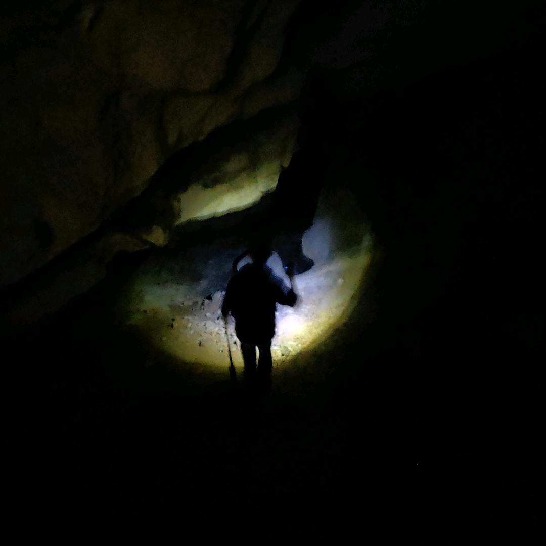 炼金术士（别忘记躺平）