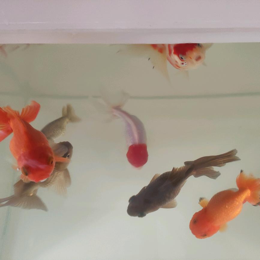 往事随风