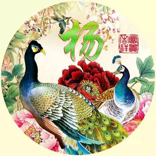 晓扬歌