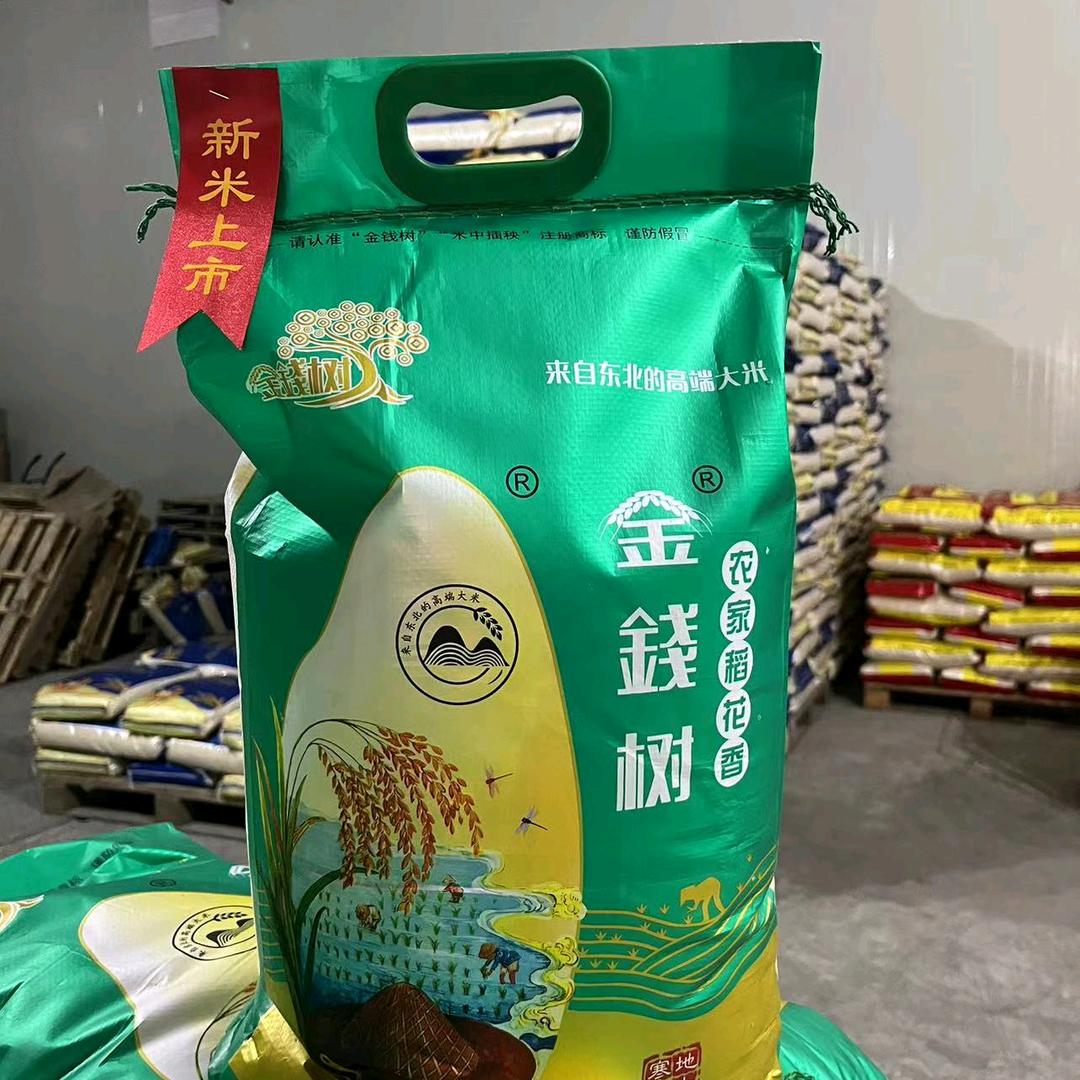 金钱树